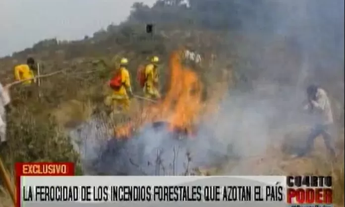 La Ferocidad De Los Incendios Forestales Azotan Al Pa S Am Rica