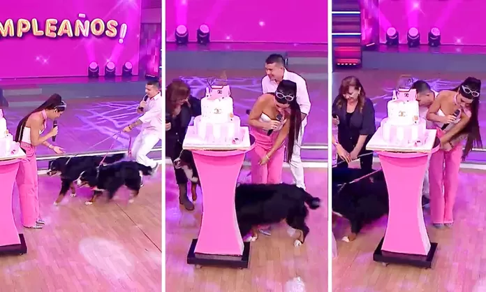 María Pía Copello sufrió incidente en vivo con las mascotas de