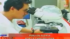 	<p>Confirman tres casos del virus Chikungunya en Perú</p>