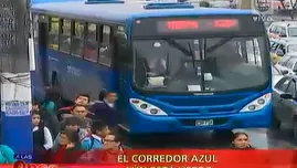 El corredor azul aún está verde