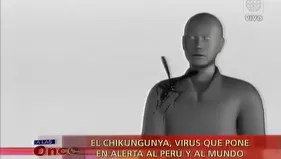 Fiebre Chikungunya: El virus que pone en alerta al Perú y al mundo