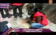 Huancayo: vecinos indignados por matanza de 13 perros - Noticias de oscar-meza