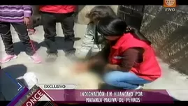 	<p>Huancayo: vecinos indignados por matanza de 13 perros.</p>