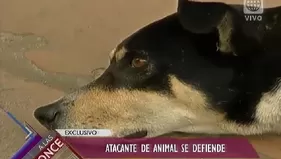 Maltrato animal: Bombero explicó por qué arrastró a perro con su auto