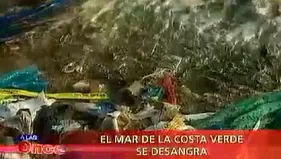 A las Once: El mar de la Costa Verde se desangra