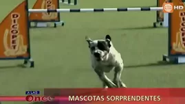 	<p>327319e403ba619f008f8163df9e3e39</p>