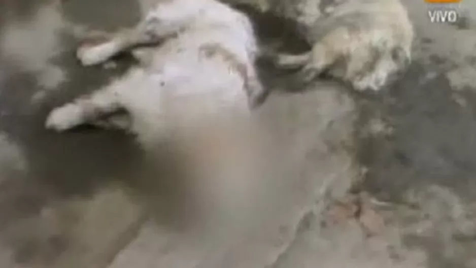 178f9e882e8f57c037b1f671a4d5ee68