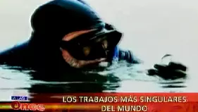 A las Once: Los trabajos más singulares del mundo