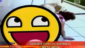 Reacciones inesperadas de los animales