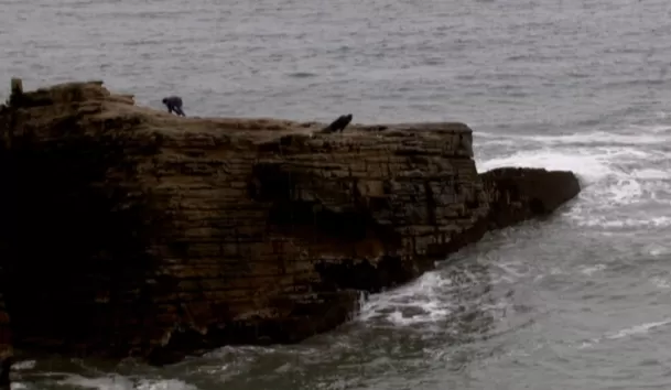 Cristóbal cayendo al mar tras ser abatido por las autoridades