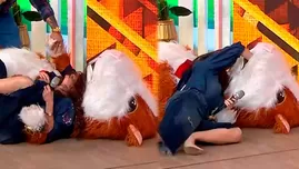 Rebeca Escribens se "peleó" con el Cuy y terminó en el piso. | Fuente: América Televisión