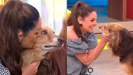 Rebeca Escribens se emocionó al reencontrarse con perrito que rescató. | Composición: Karina Guimaray