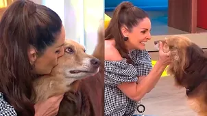 Rebeca se emocionó al reencontrarse con perrito que rescató