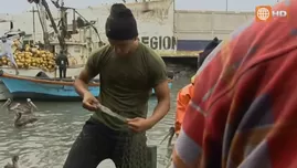 	<p>c939f18300ad5521e492f1d9ea6e10a1</p>