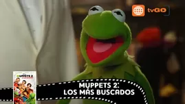 	<p>fb55e9f865cd718a4bf109abfdfecb3c</p>