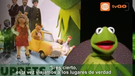 	<p>91c468dd84de38c8459a63e49360d330</p>