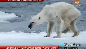 Amenaza en el imperio glacial