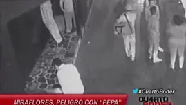 Miraflores: peligro con pepa