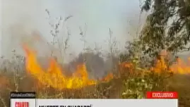 	<p>Muerte en Chaparrí. Video: América TV</p>