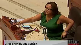 El plagio de Rosa Núñez