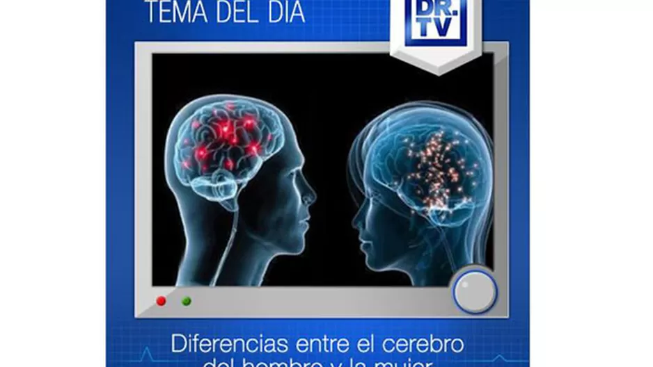 Diferencias entre el cerebro del hombre y de la mujer