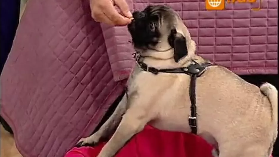 06fe072b74f2c34a311d08f0788a30ca