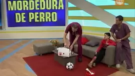 	<p>&iquest;C&oacute;mo curar una mordedura de perro? Esto es lo primero que debes hacer.</p>