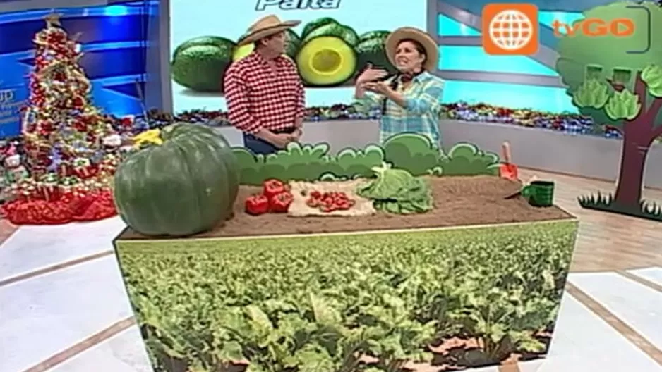 	1aa347ad8be2260651aac062950f3683