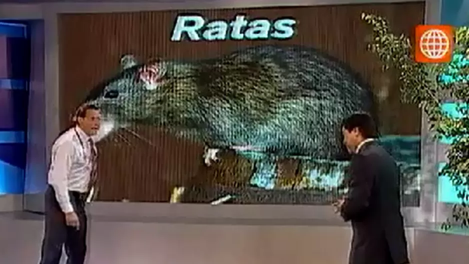 06841c77dbc175af9194cf4c26a4aa3e