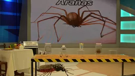 	<p>17f2c7c4c8a0fc80e48ecfaebcb0ccf7</p>