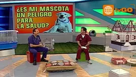 	<p>Todo sobre las mascotas y tu salud</p>