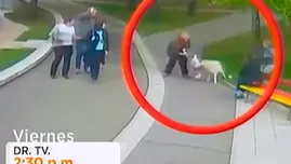 Sepa cómo reaccionar frente a un ataque de un perro