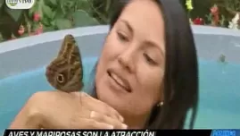 Aves y mariposas son la atracción en el Parque de las Leyendas