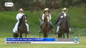 Caballos de paso son la novedad en el Parque de las Leyendas