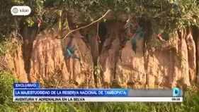 La majestuosidad de la Reserva Nacional de Tambopata: aventura y adrenalina en la selva