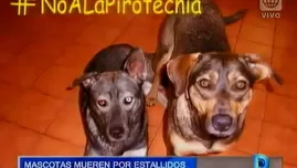 Mascotas mueren por estallidos de pirotécnicos