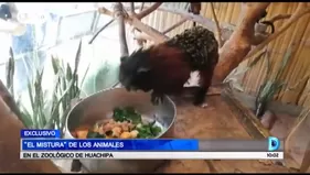 ‘El Mistura’ de los animales en el zoológico de Huachipa