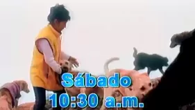 Avance DR Vet: Este sábado más historias que te conmoverán