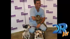 	<p>Pancho Cavero y su familia de animalitos</p>