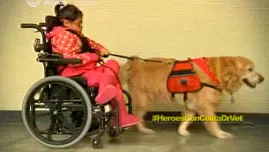 	<p>Perritos ayudan en terapia para niños con habilidades especiales.</p>