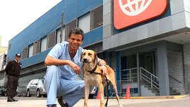 	<p>Dr Vet salvó a Pinocho, la mascota rescatada de América TV</p>