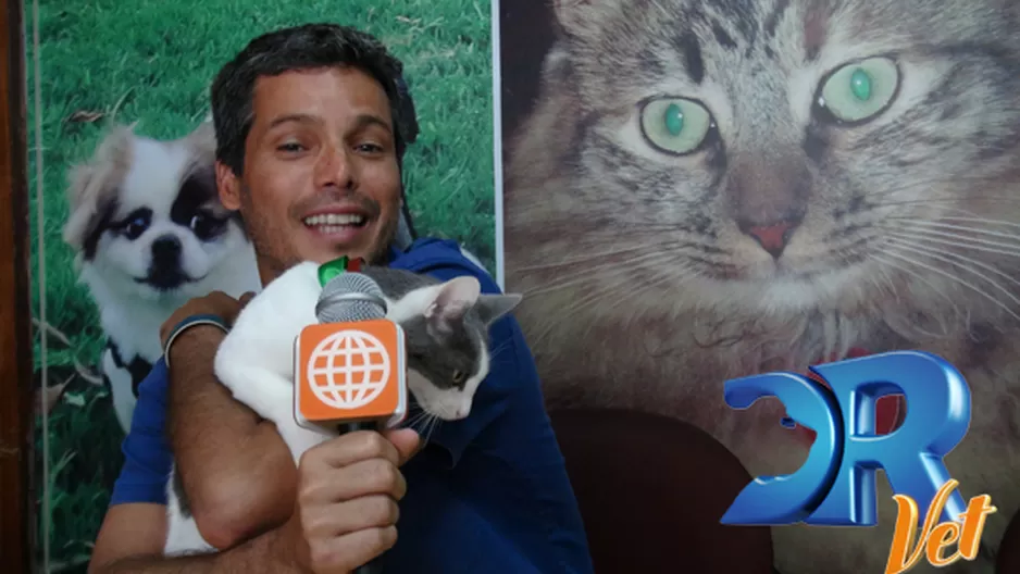 DR. Vet se convierte en el programa favorito