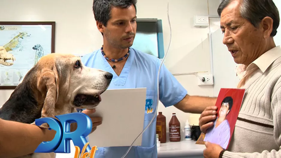 DR Vet lideró en su horario