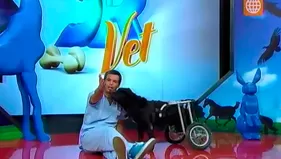 DR. Vet y "Nerón" fueron protagonistas de tierno blooper