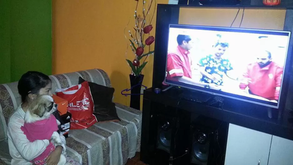 Perritos en casa disfrutan de DR Vet