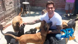 	<p>Thiago Cunha será voluntario en albergue de perros</p>