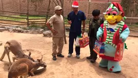 	<p>Timoteo celebrará Navidad con animales del Zoológico de Huachipa.</p>