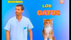 	<p>Tips para prevenir los arañazos de tus gatos</p>