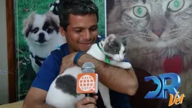 	<p>Pancho Cavero habla sobre los mitos de la Toxoplasmosis</p>