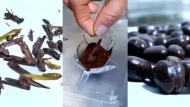 	<p>Chanchamayo: así funciona la fábrica que produce chocolates con insectos comestibles.</p>